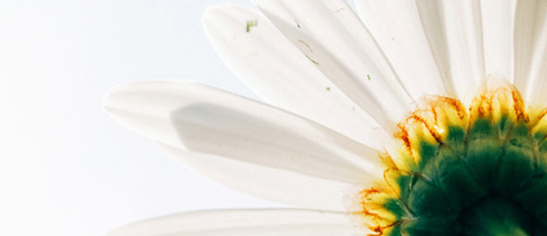 广东会vip贵宾厅(集团)官方网站