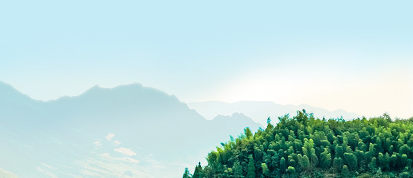 广东会vip贵宾厅(集团)官方网站