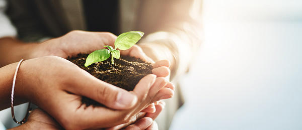 广东会vip贵宾厅(集团)官方网站